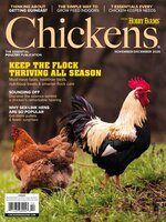 Chickens